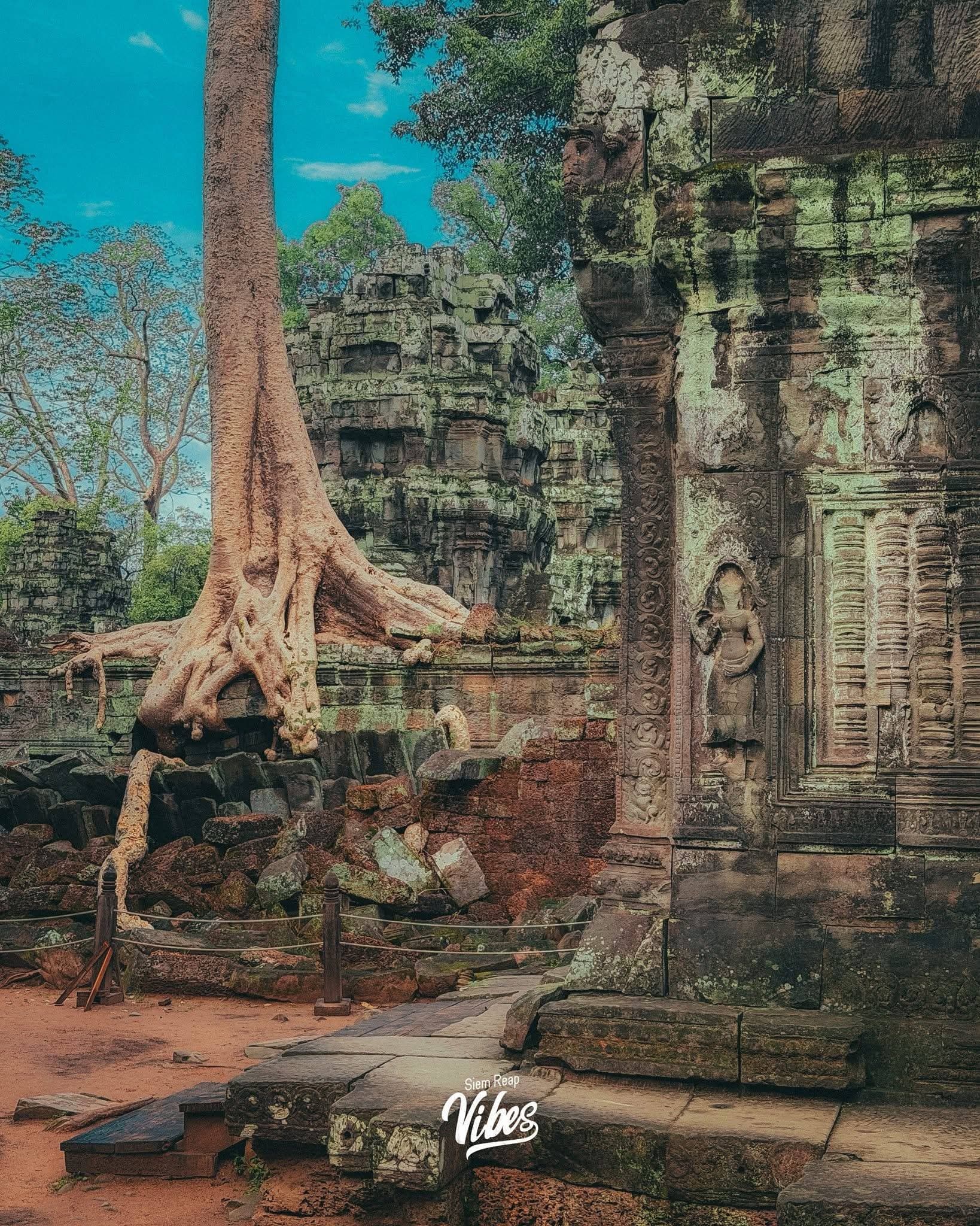 Ta Prohm photo 2