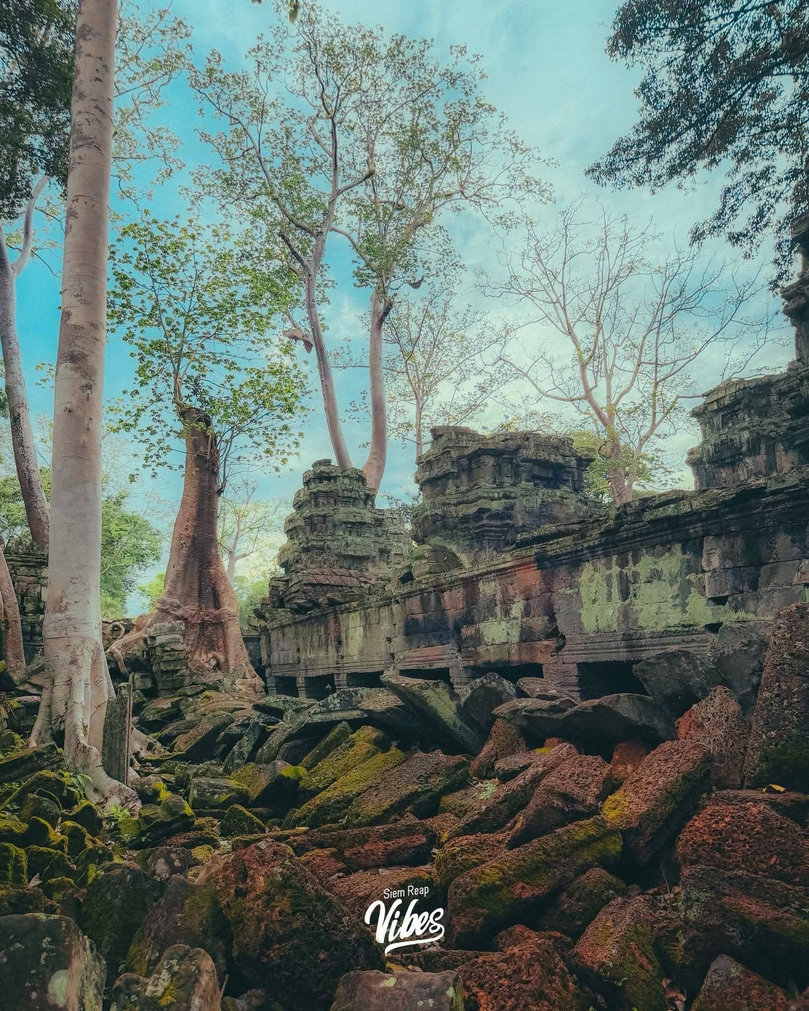 Ta Prohm photo 3