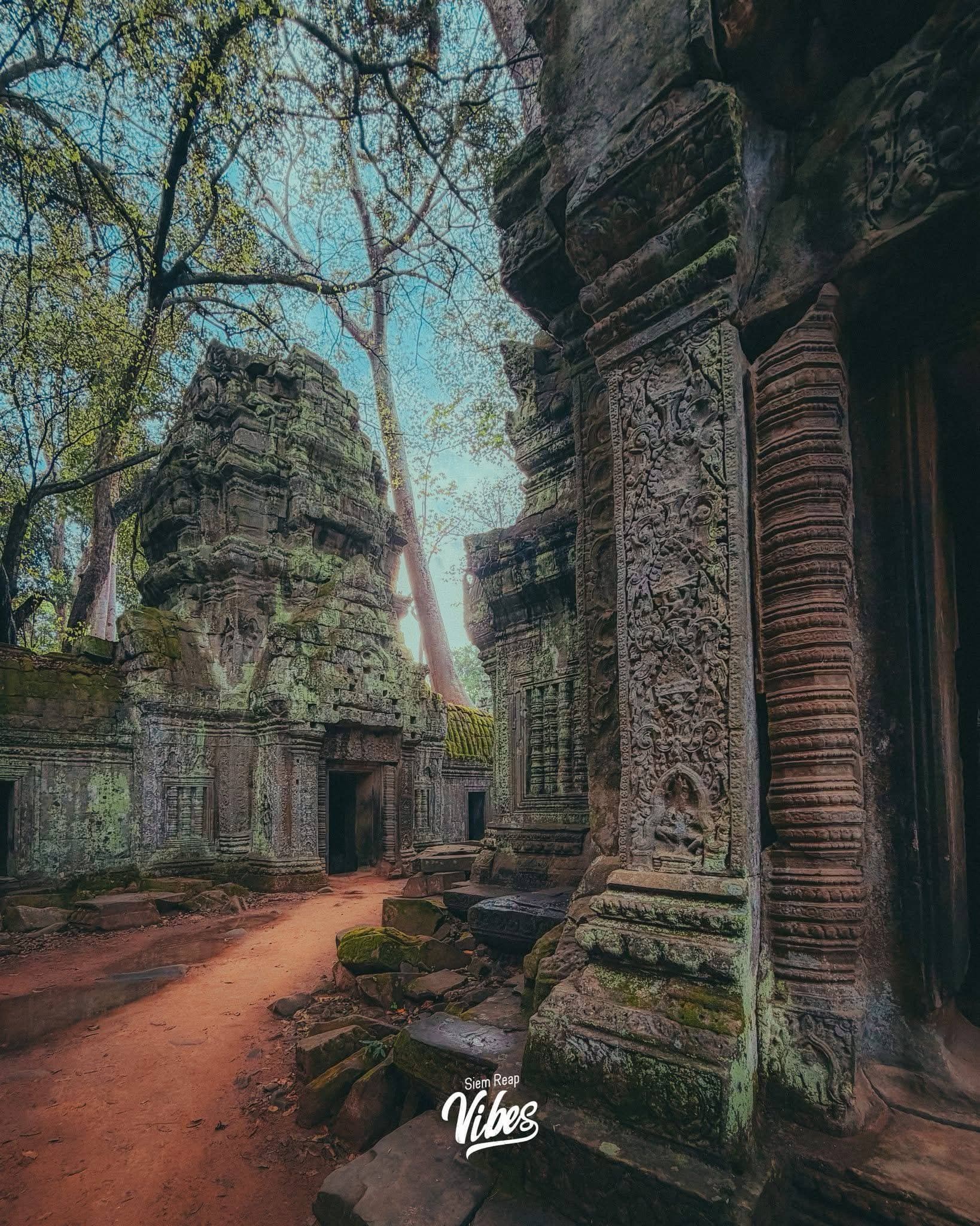 Ta Prohm photo 4
