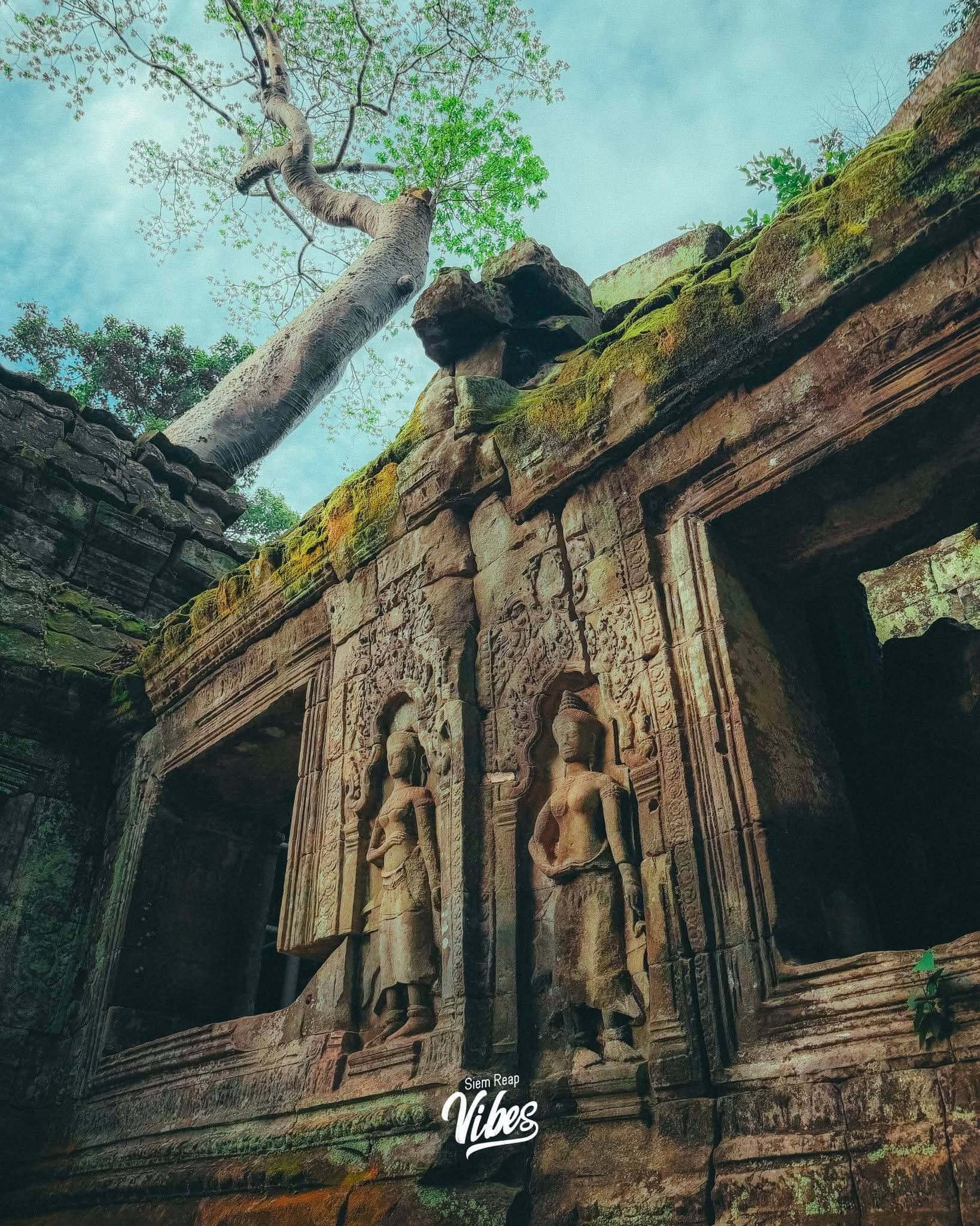Ta Prohm photo 5